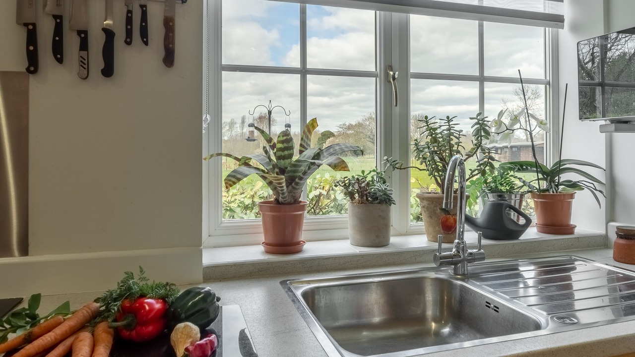 Photo of Outdoor in Pentney