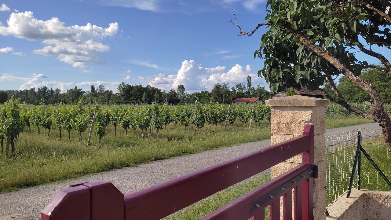 Photo of Outdoor in Pineuilh