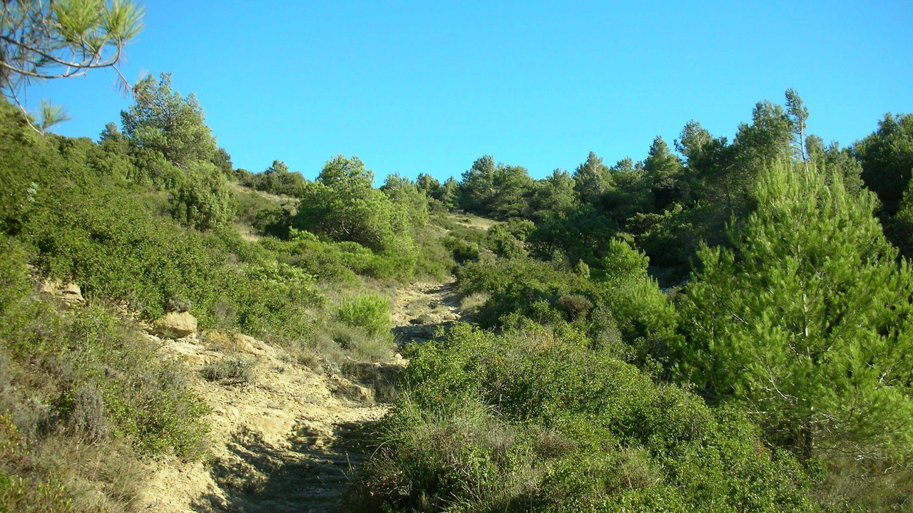 Photo of Outdoor in Escales