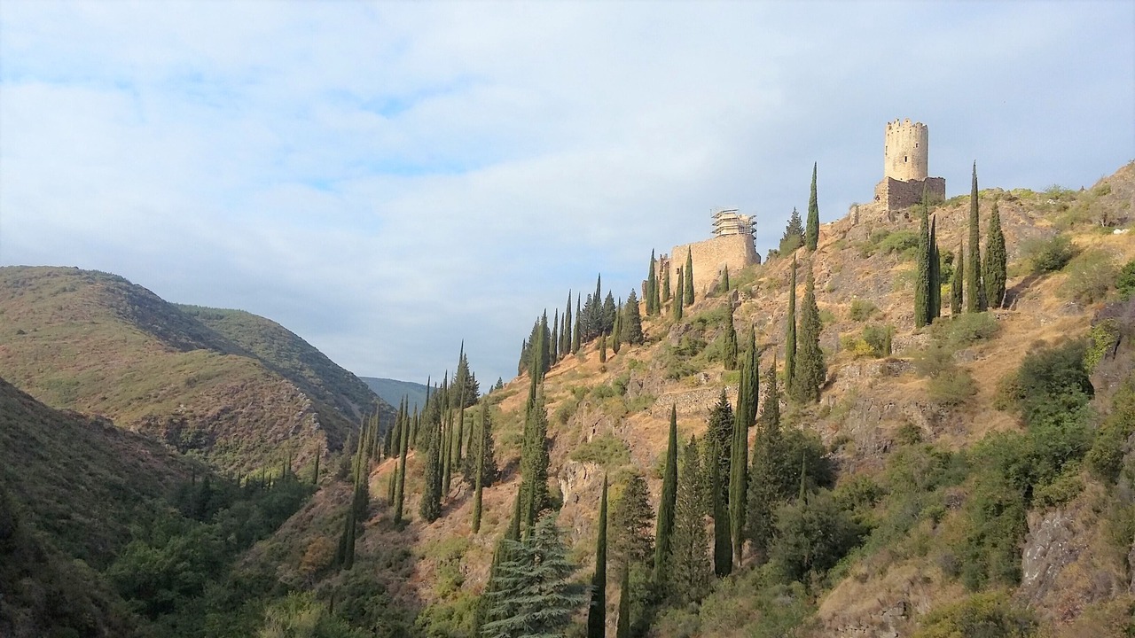 Photo of Others in Escales