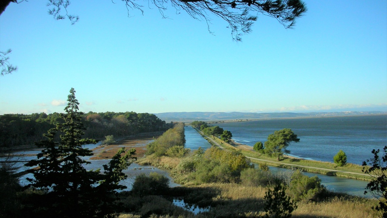 Photo of Others in Escales