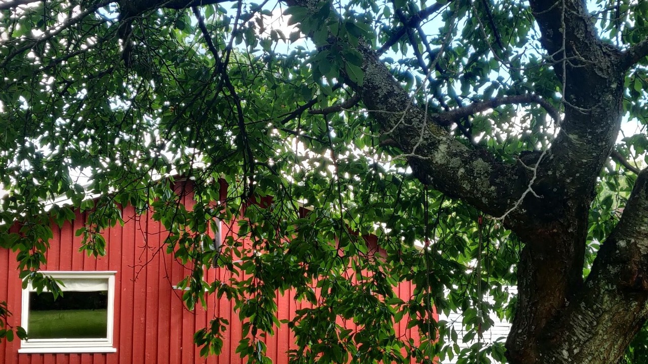 Photo of Outdoor in Rageleje