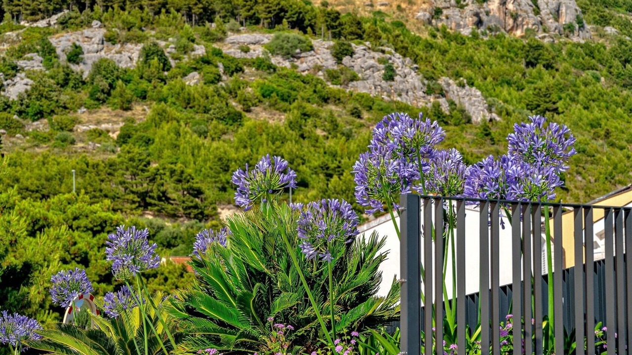 Photo of Outdoor in Promajna