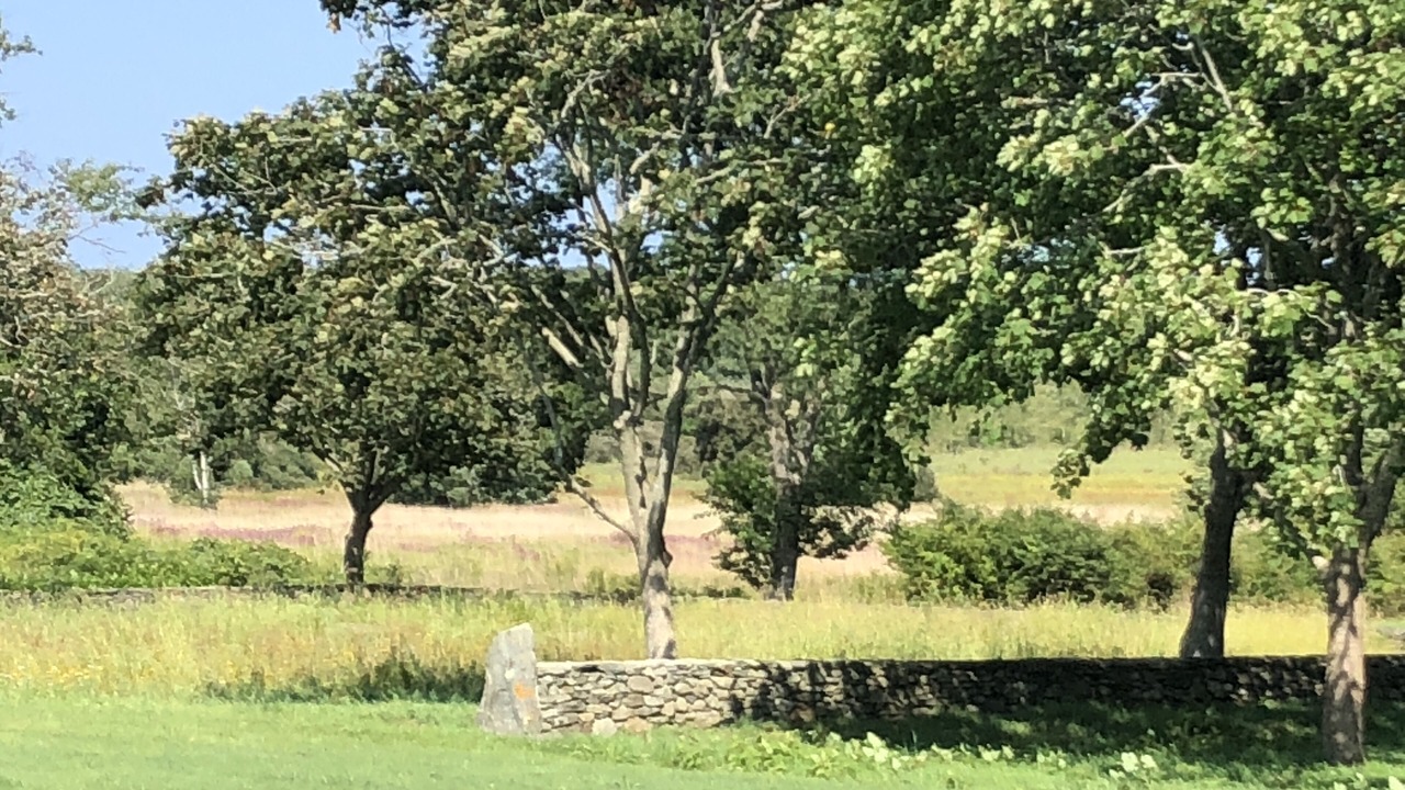 Photo of Others in Little Compton