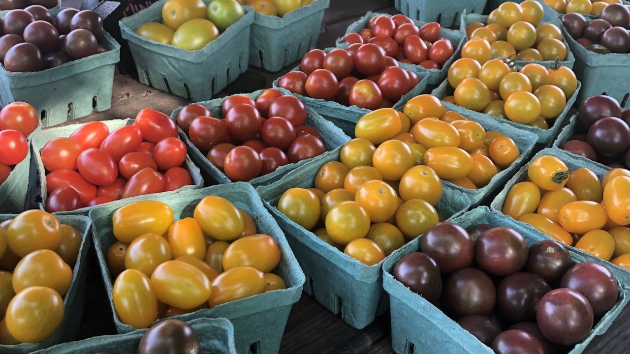 Photo of Others in Little Compton