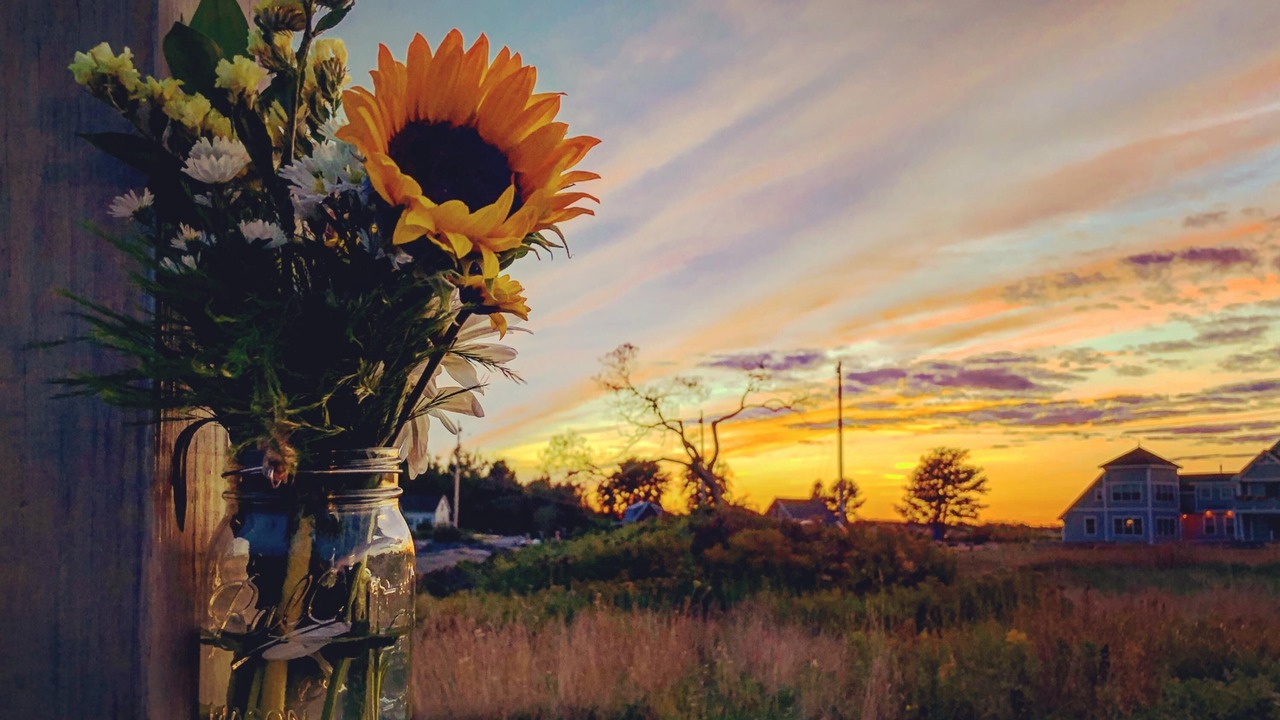 Photo of Others in Mid-Coast and Islands