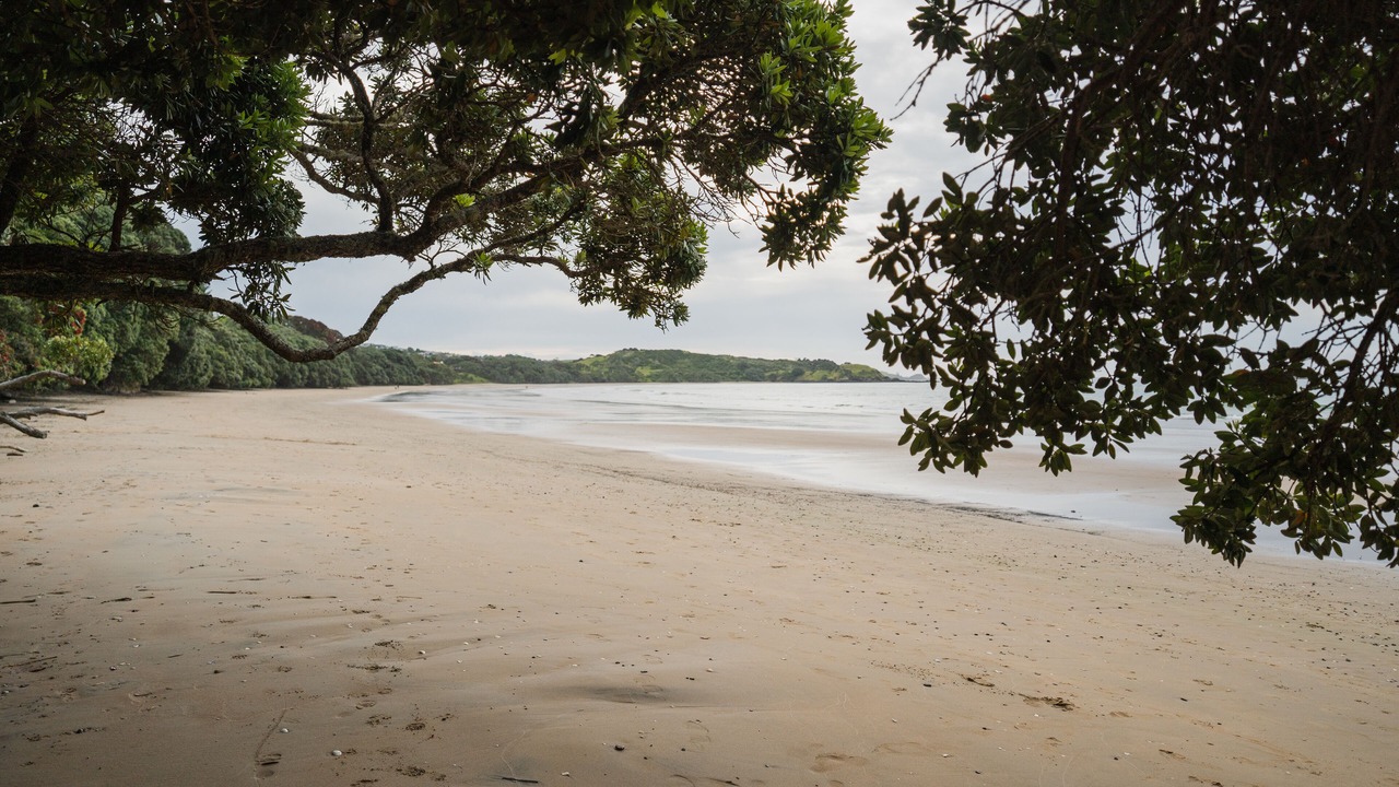 Photo of Others in Coopers Beach