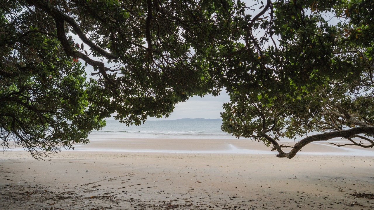 Photo of Others in Coopers Beach