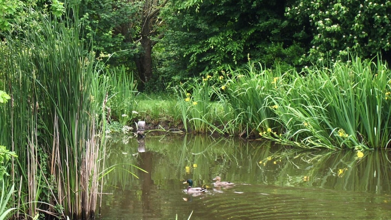 Photo of Outdoor in Ferel