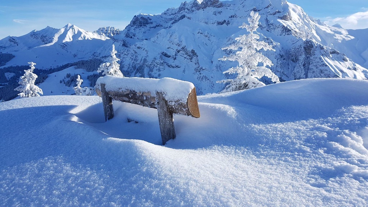 Photo of Others in Adelboden