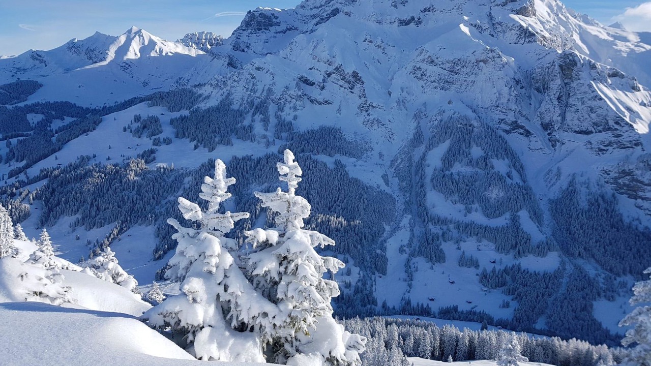 Photo of Others in Adelboden