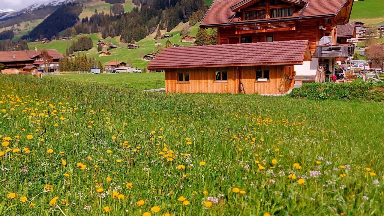 Photo of Others in Adelboden