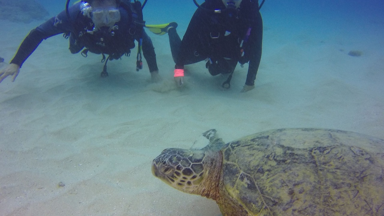 Photo of Others in Ewa