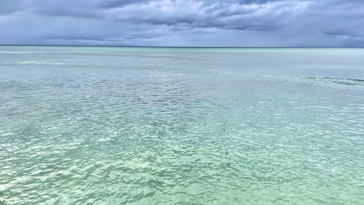 Photo of Others in Ewa