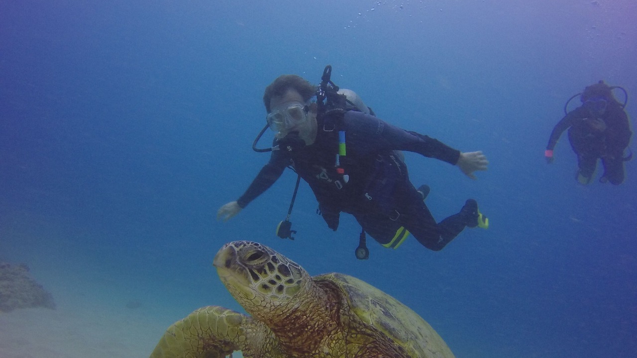 Photo of Others in Ewa