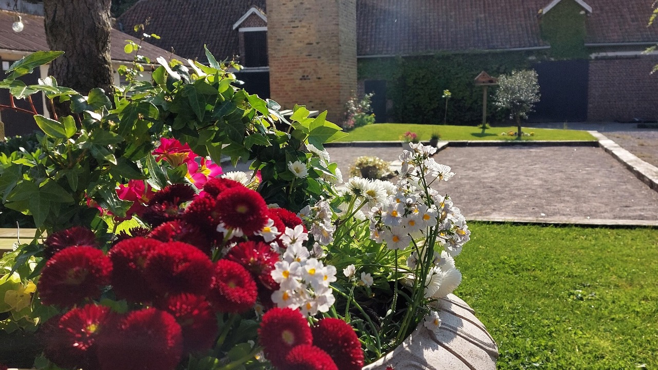 Photo of Outdoor in Lacres