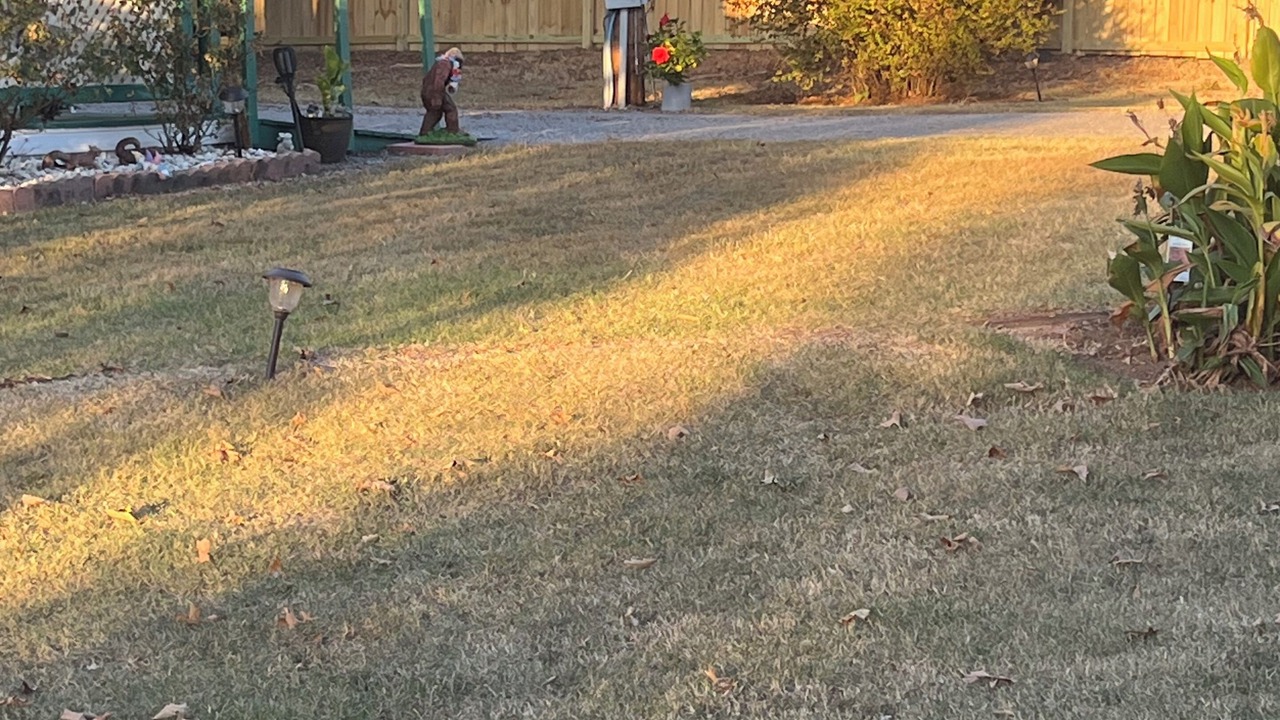 Photo of Outdoor in Wagoner