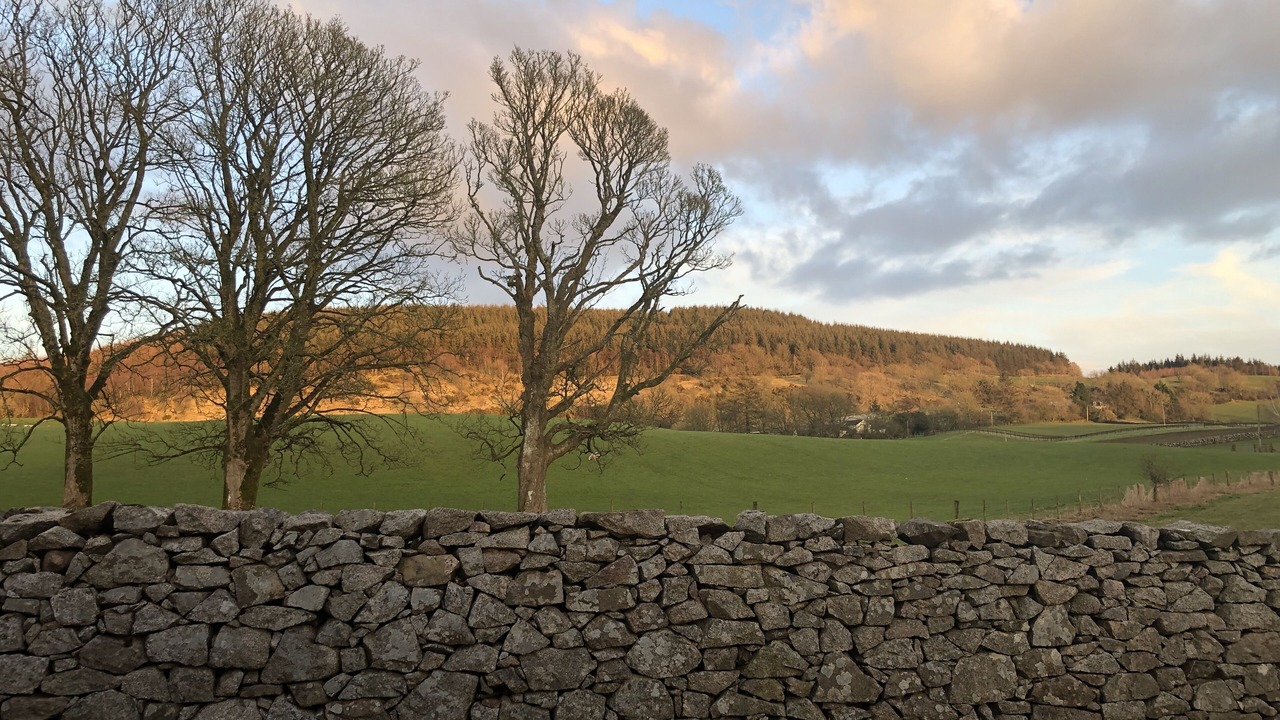 Photo of Others in Castle Douglas