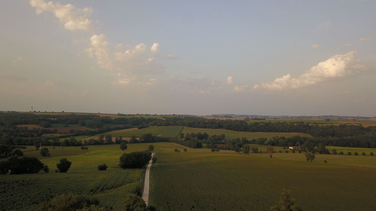 Photo of Others in Maubec