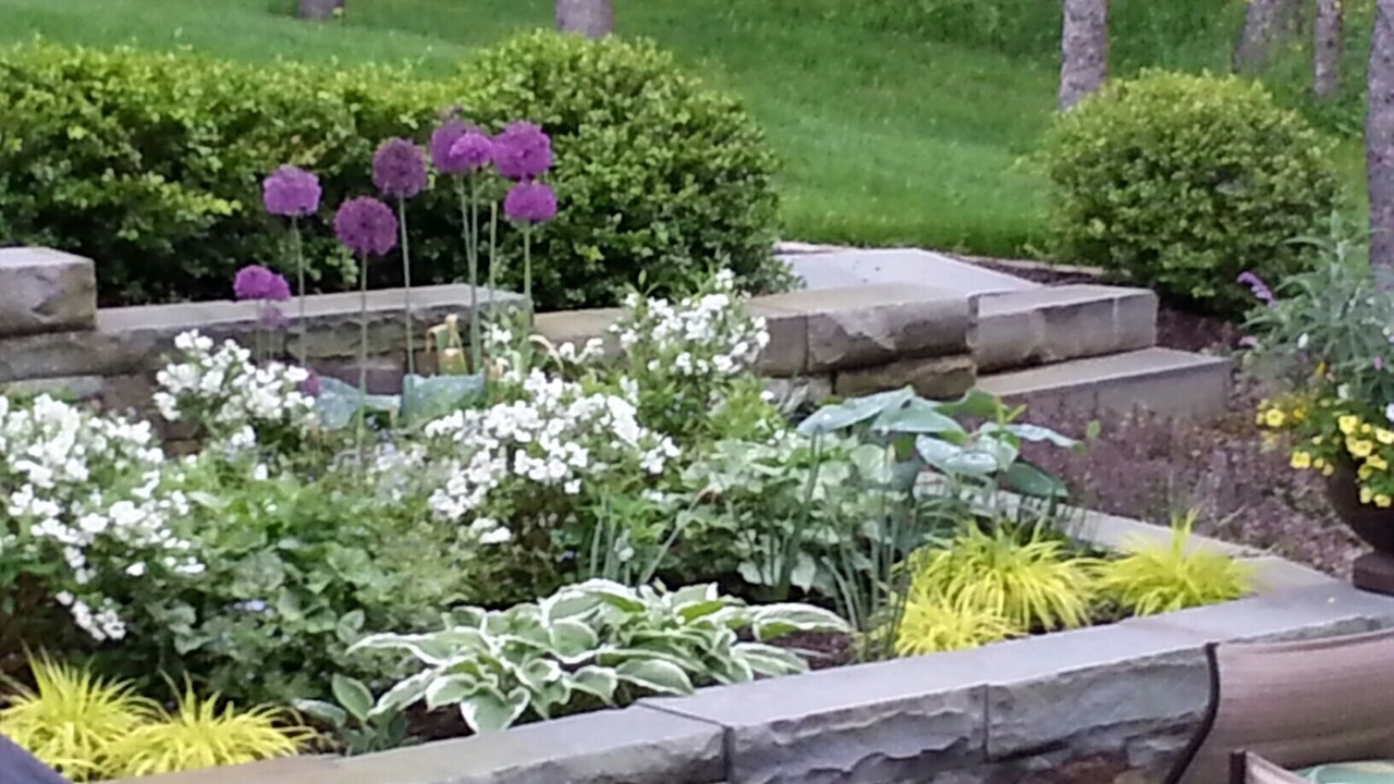 Photo of Outdoor in Ithaca