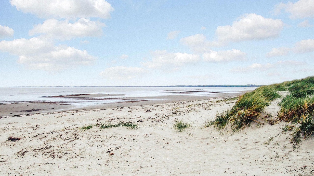 Photo of Others in Hoensinge