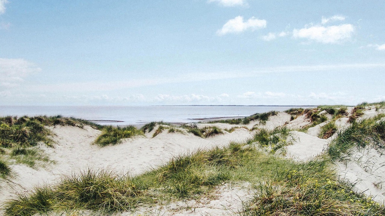 Photo of Others in Hoensinge