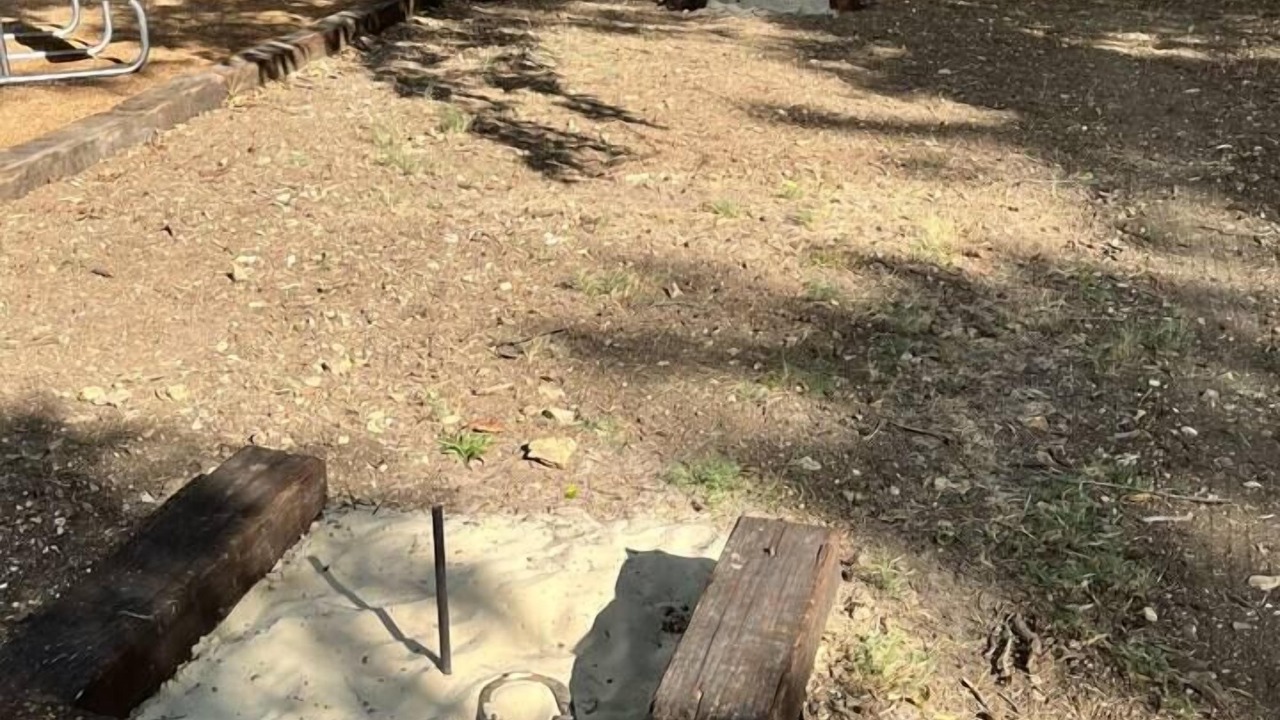 Photo of Others in Gruene