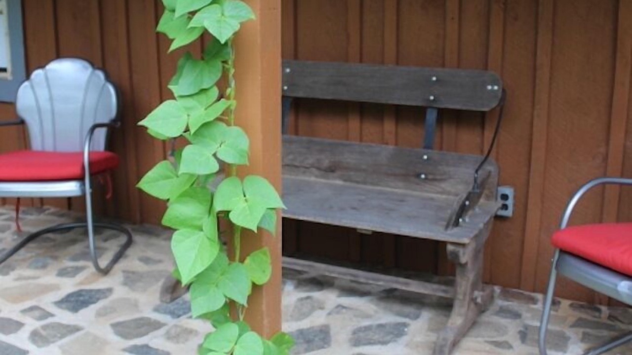 Photo of Patio Balcony in Bakersville