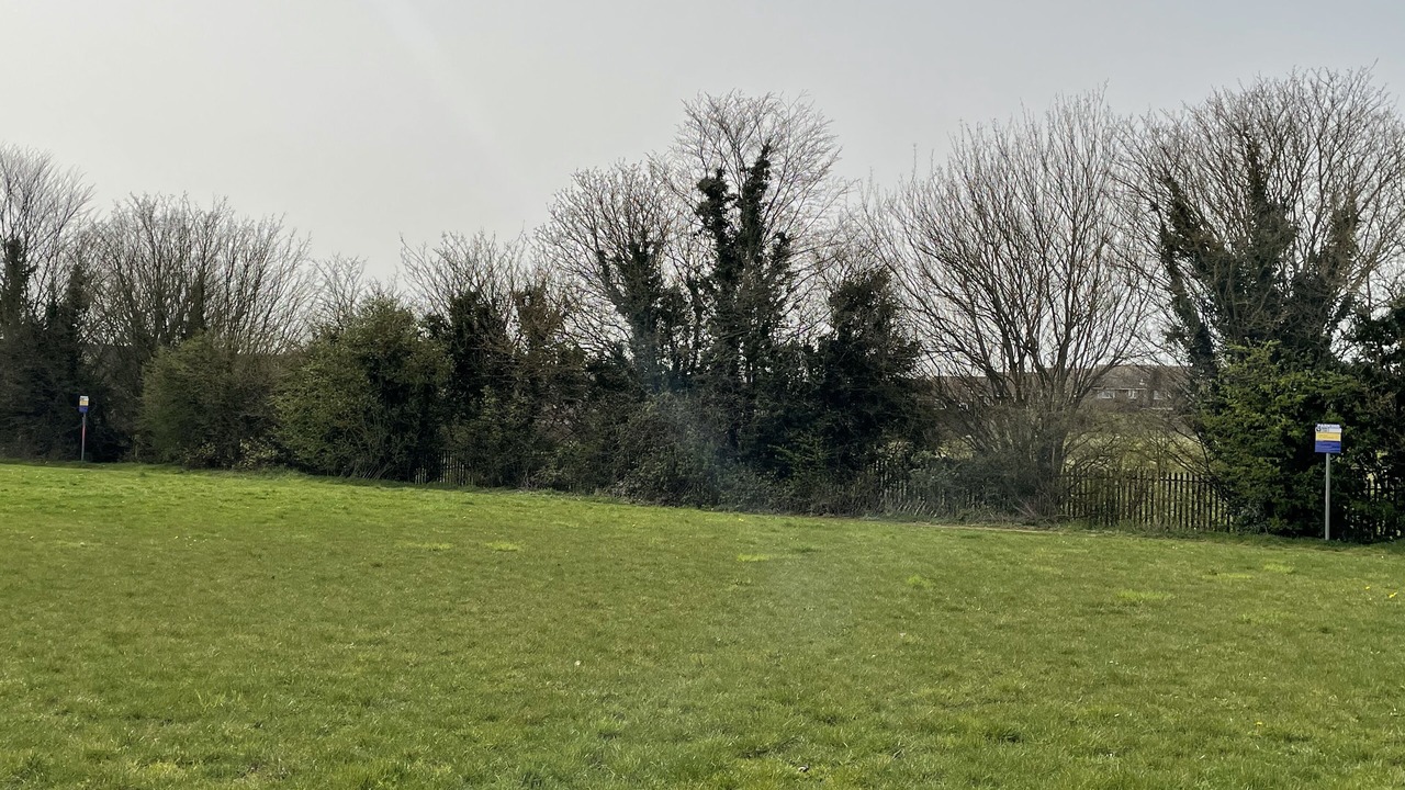 Photo of Others in Chatham