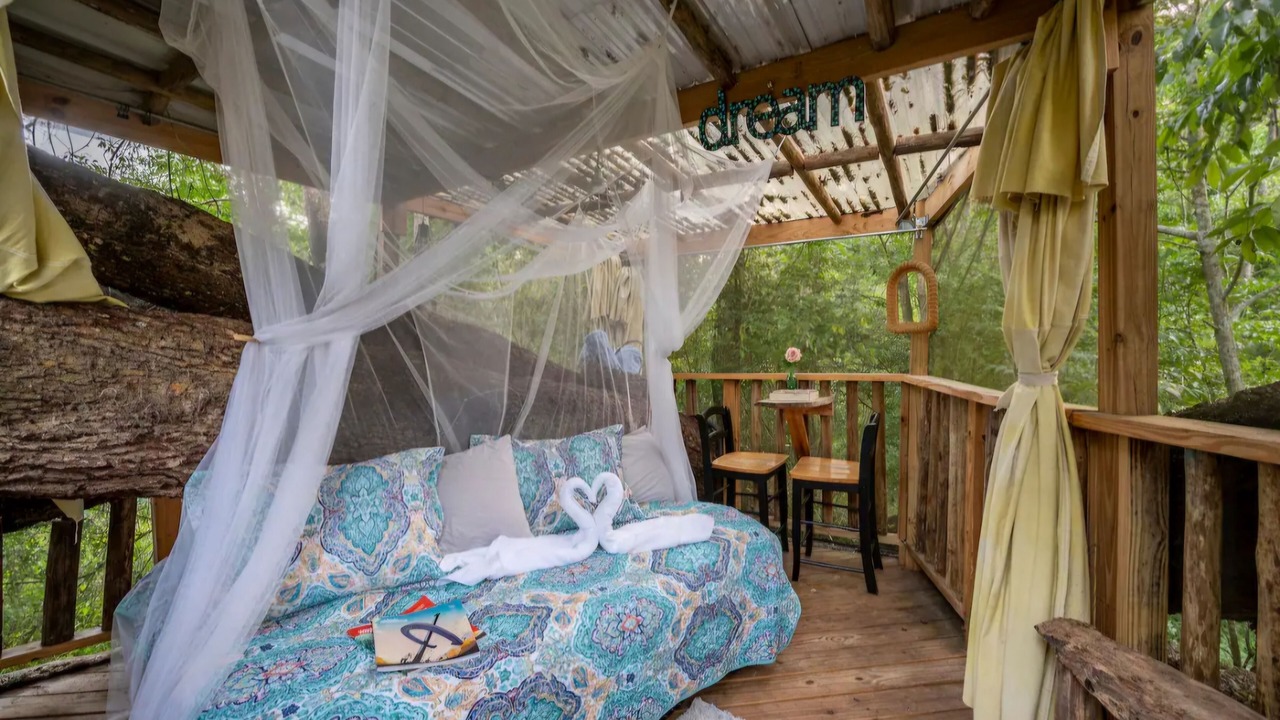 Photo of Others in Live Oak