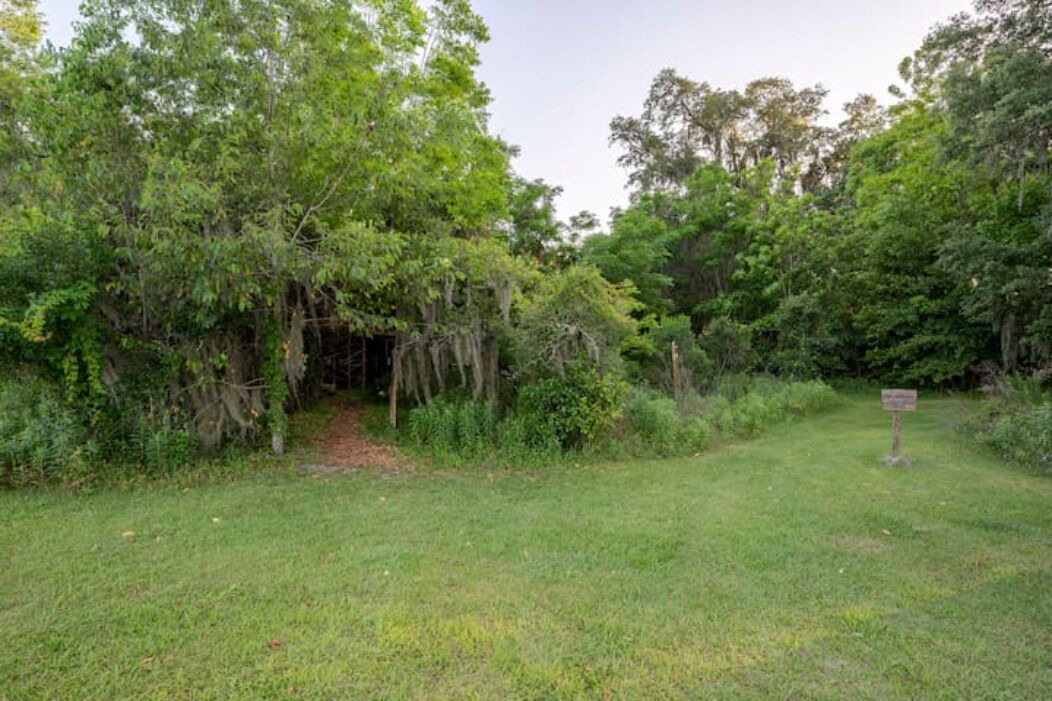 Photo of Outdoor in Live Oak