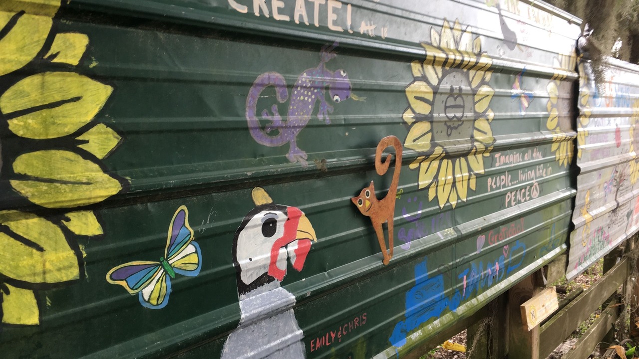 Photo of Outdoor in Live Oak