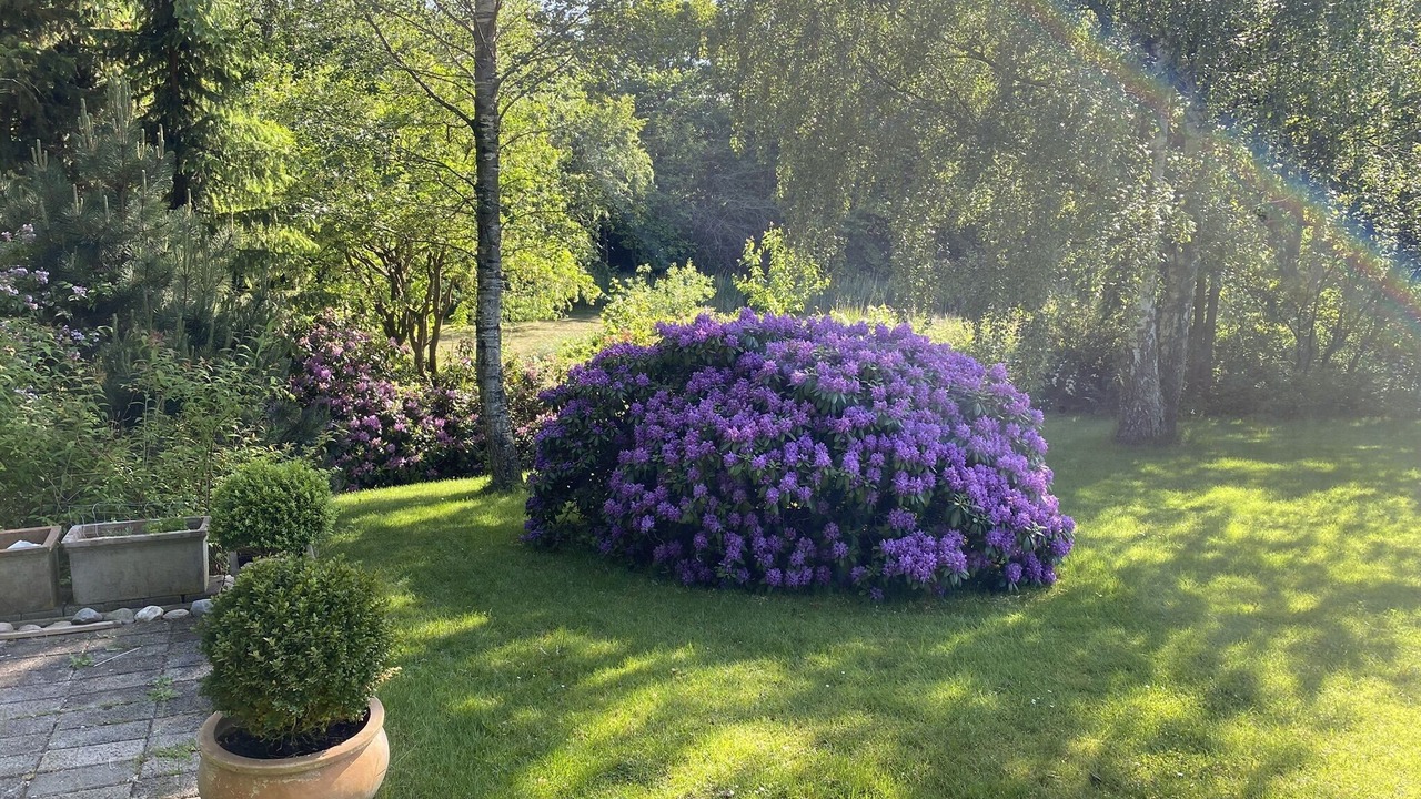 Photo of Outdoor in Hoeve Strand