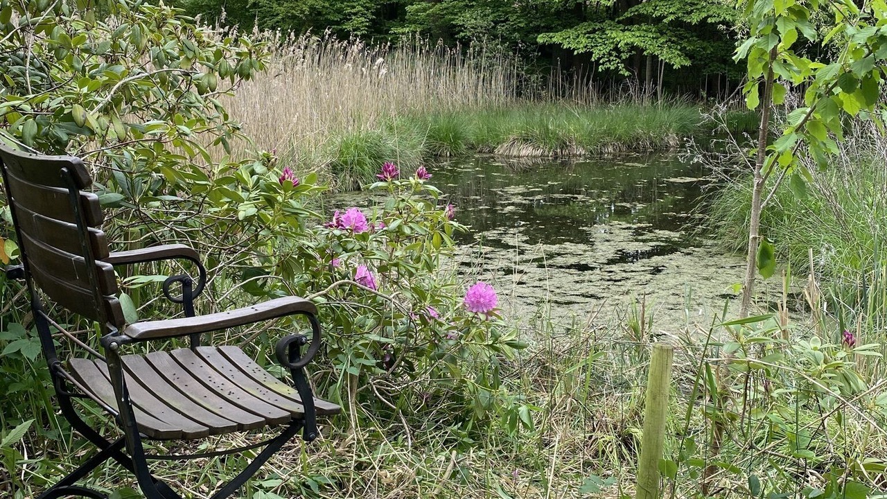 Photo of Outdoor in Hoeve Strand