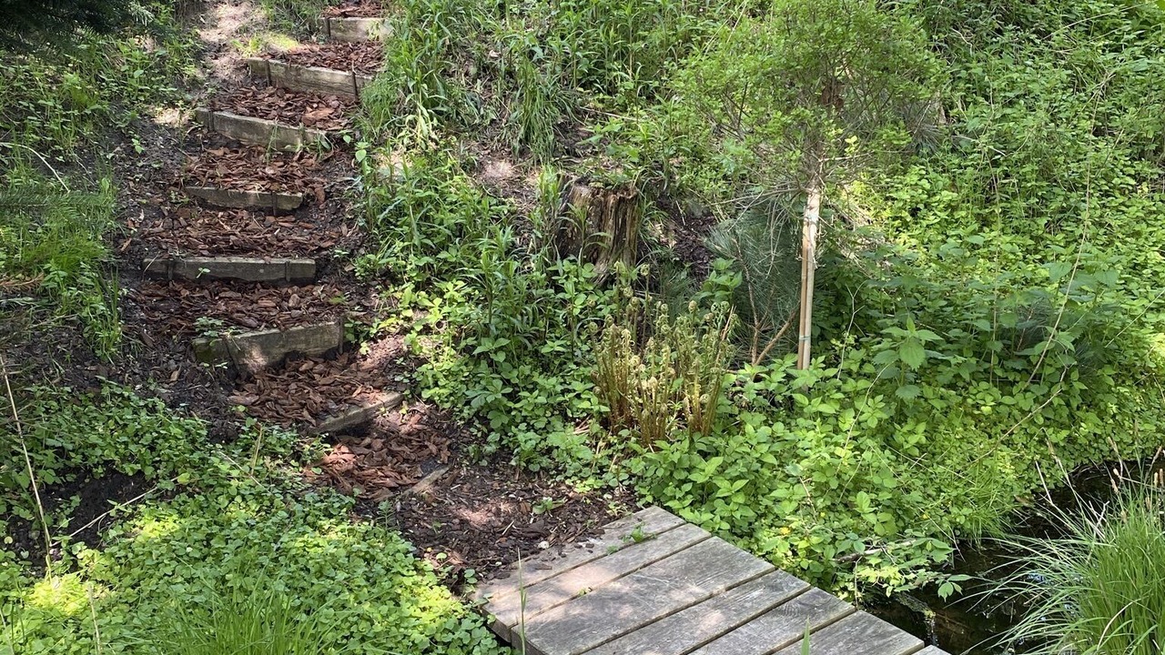 Photo of Outdoor in Hoeve Strand