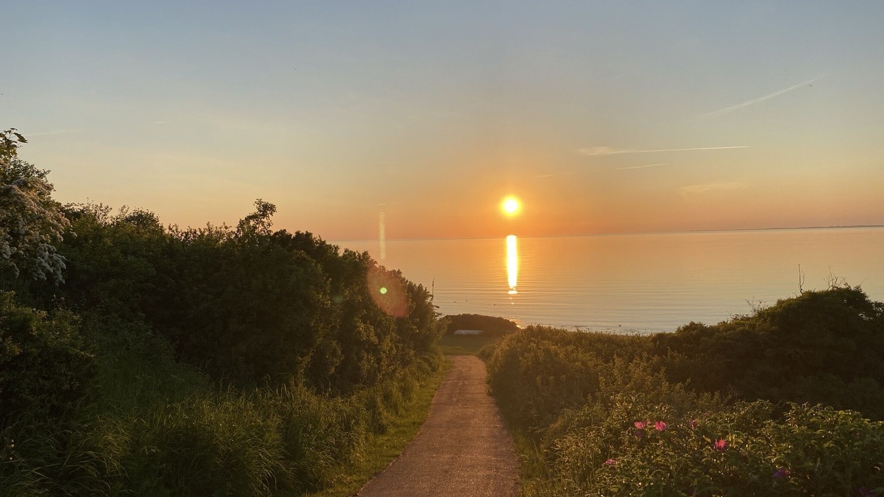 Photo of Others in Hoeve Strand