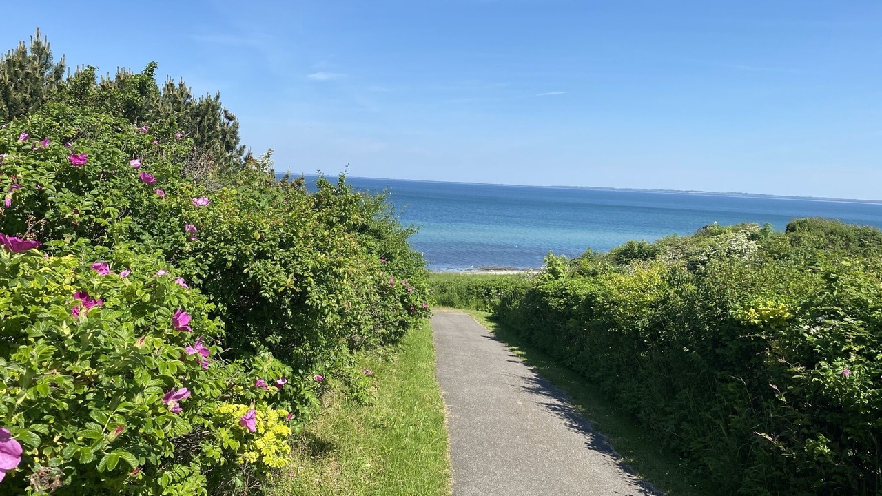 Photo of Outdoor in Hoeve Strand