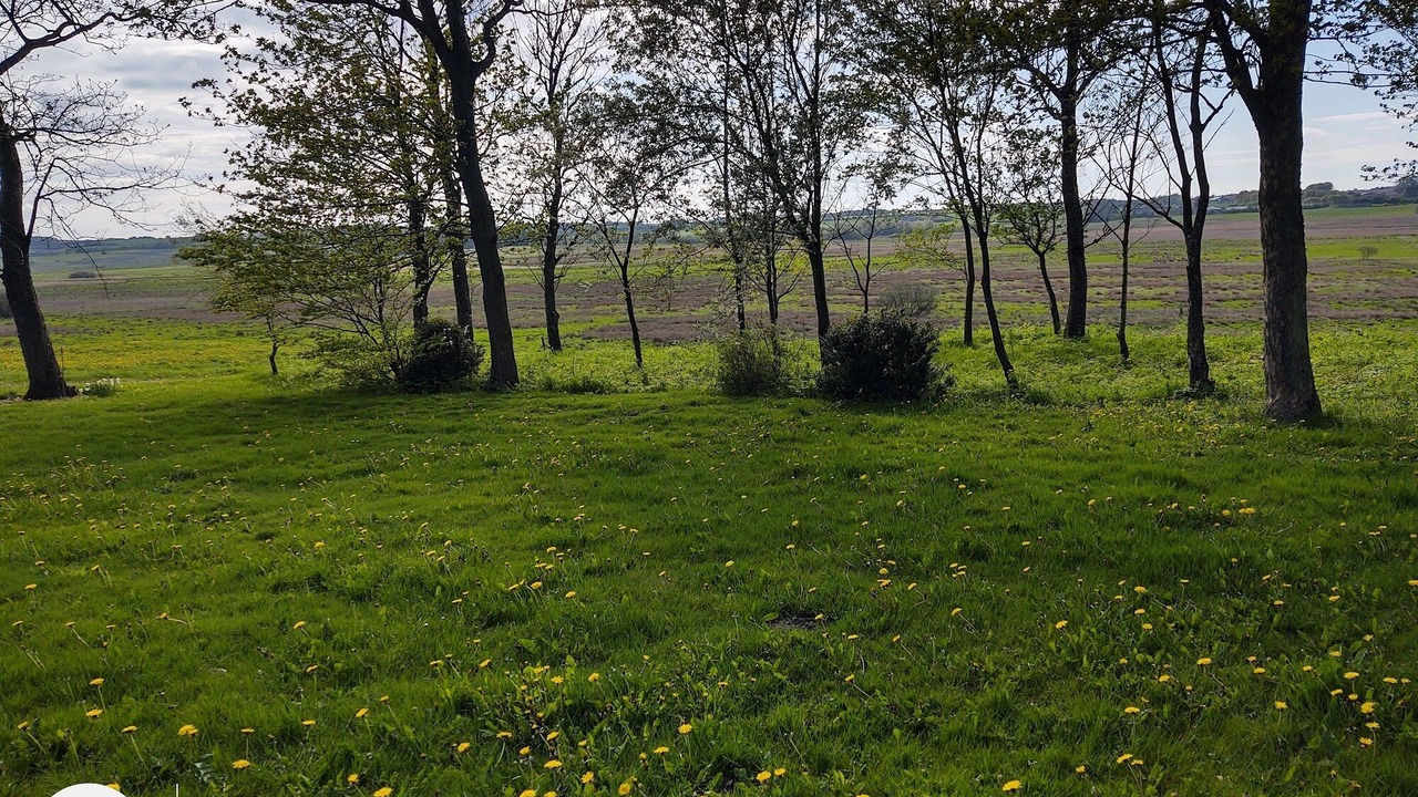 Photo of Outdoor in Nibe