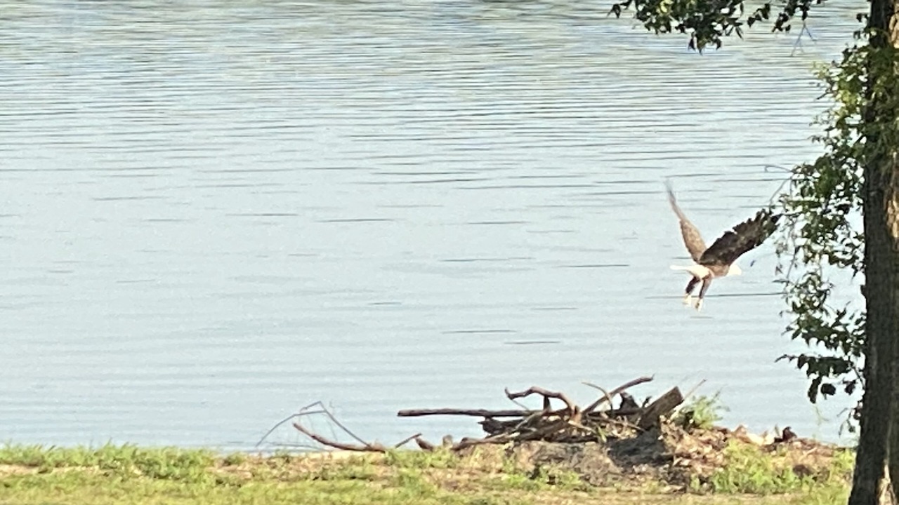 Photo of Others in Mayes County