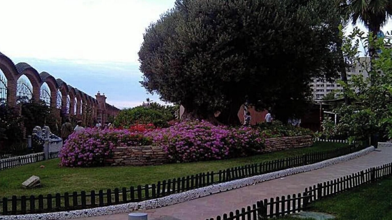 Photo of Outdoor in Marina d'Or