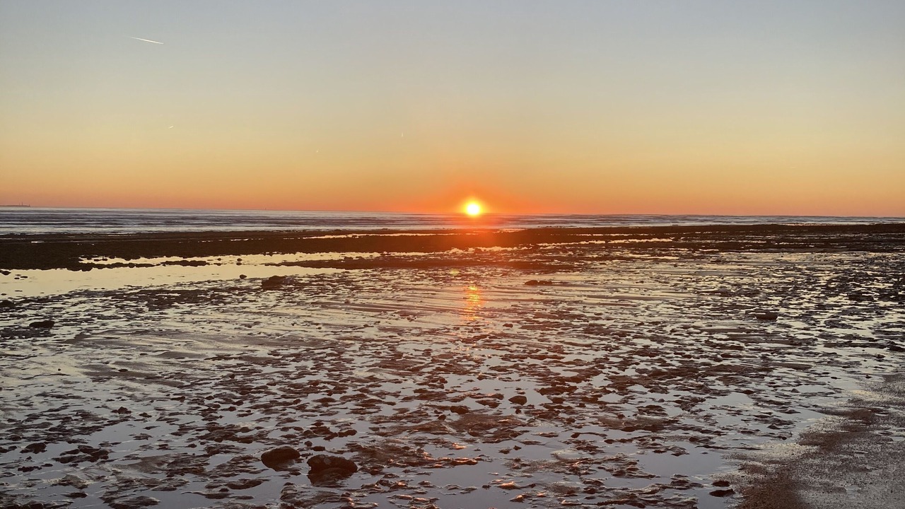 Photo of Others in La Tranche-sur-Mer