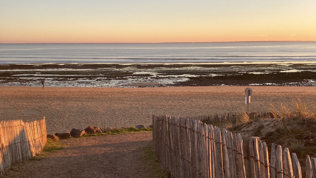 Photo of Others in La Tranche-sur-Mer