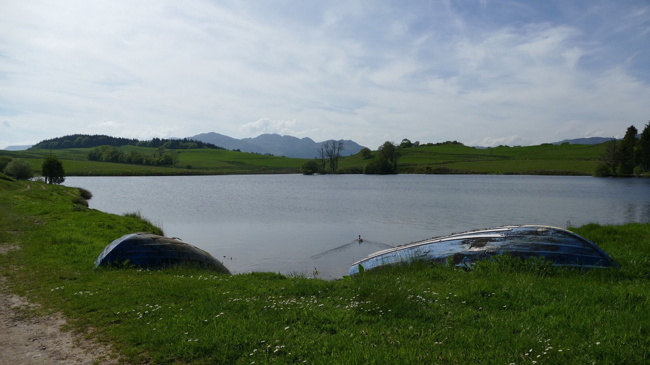 Photo of Outdoor in Comrie