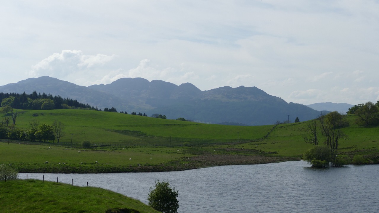 Photo of Others in Comrie