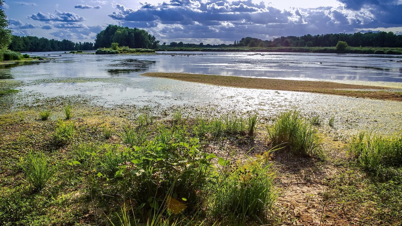 Photo of Others in Montlouis-sur-Loire