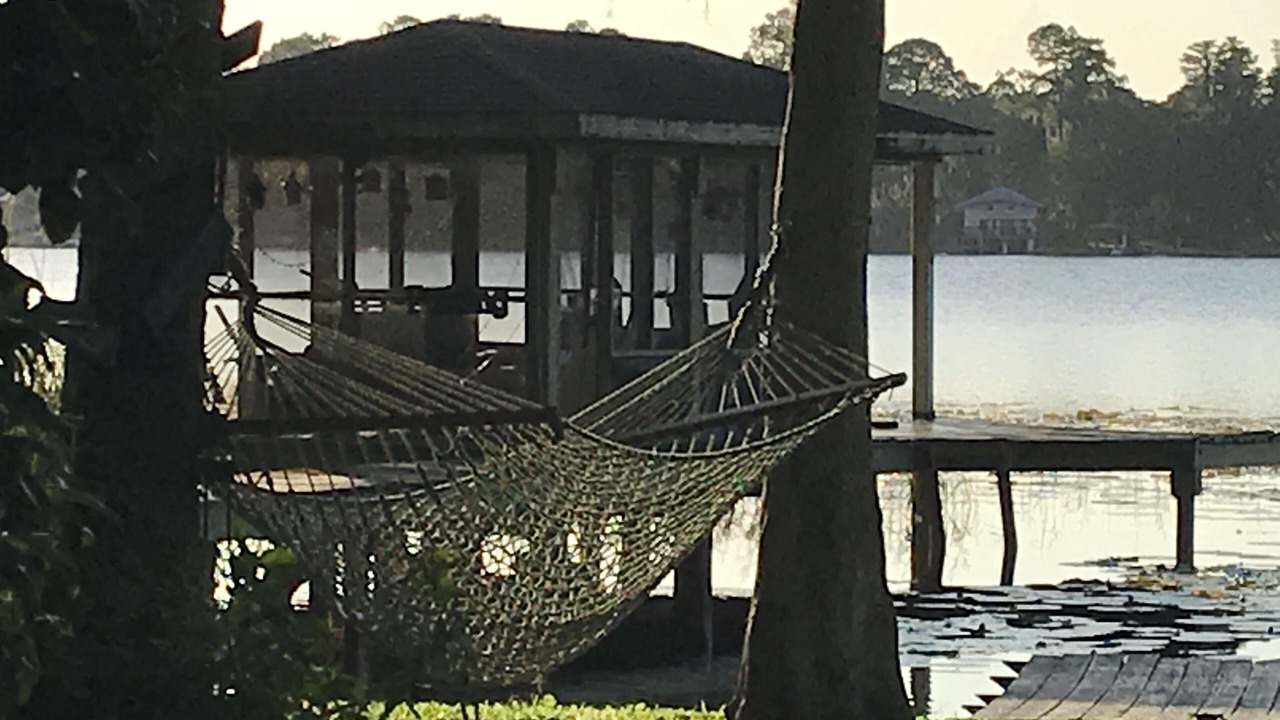 Photo of Outdoor in Orlando