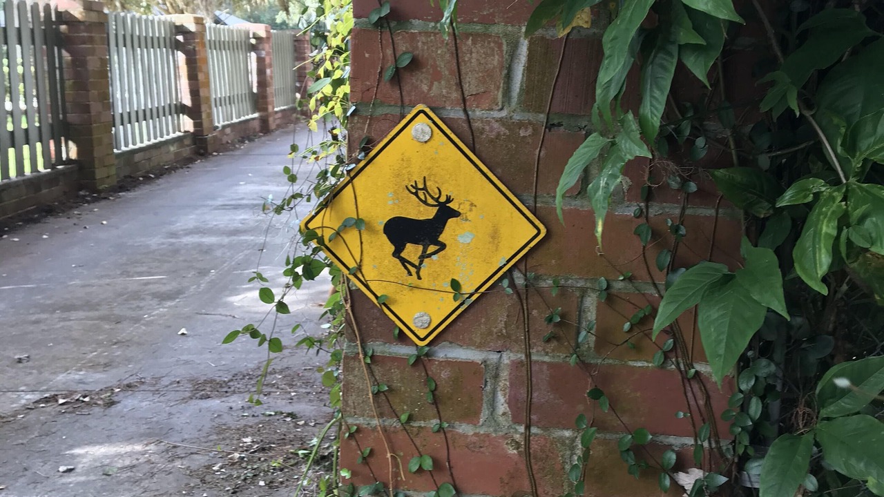 Photo of Outdoor in Orlando