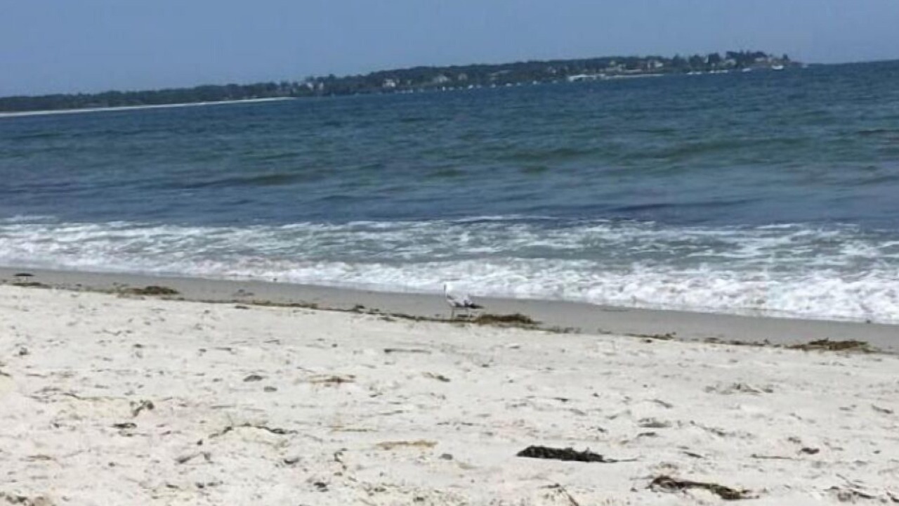 Photo of Others in Pine Point