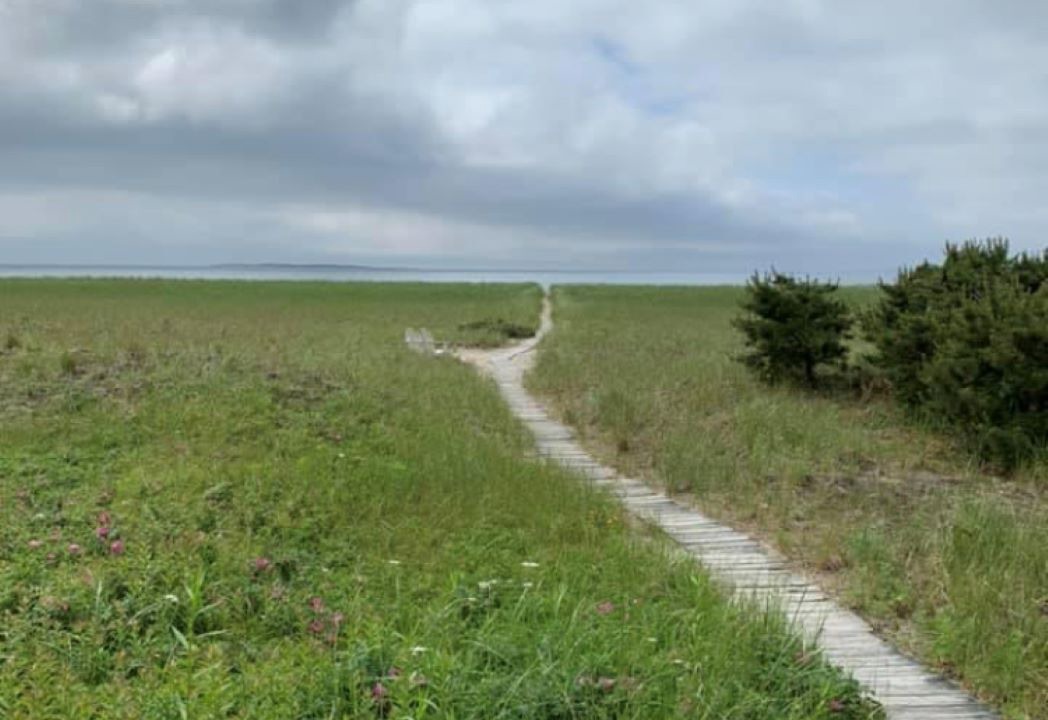 Photo of Outdoor in Pine Point