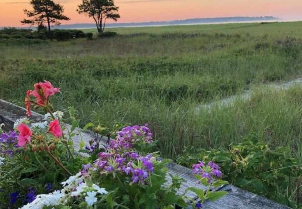 Photo of Outdoor in Pine Point